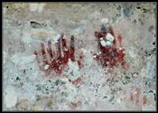 060 Tulum Handprints